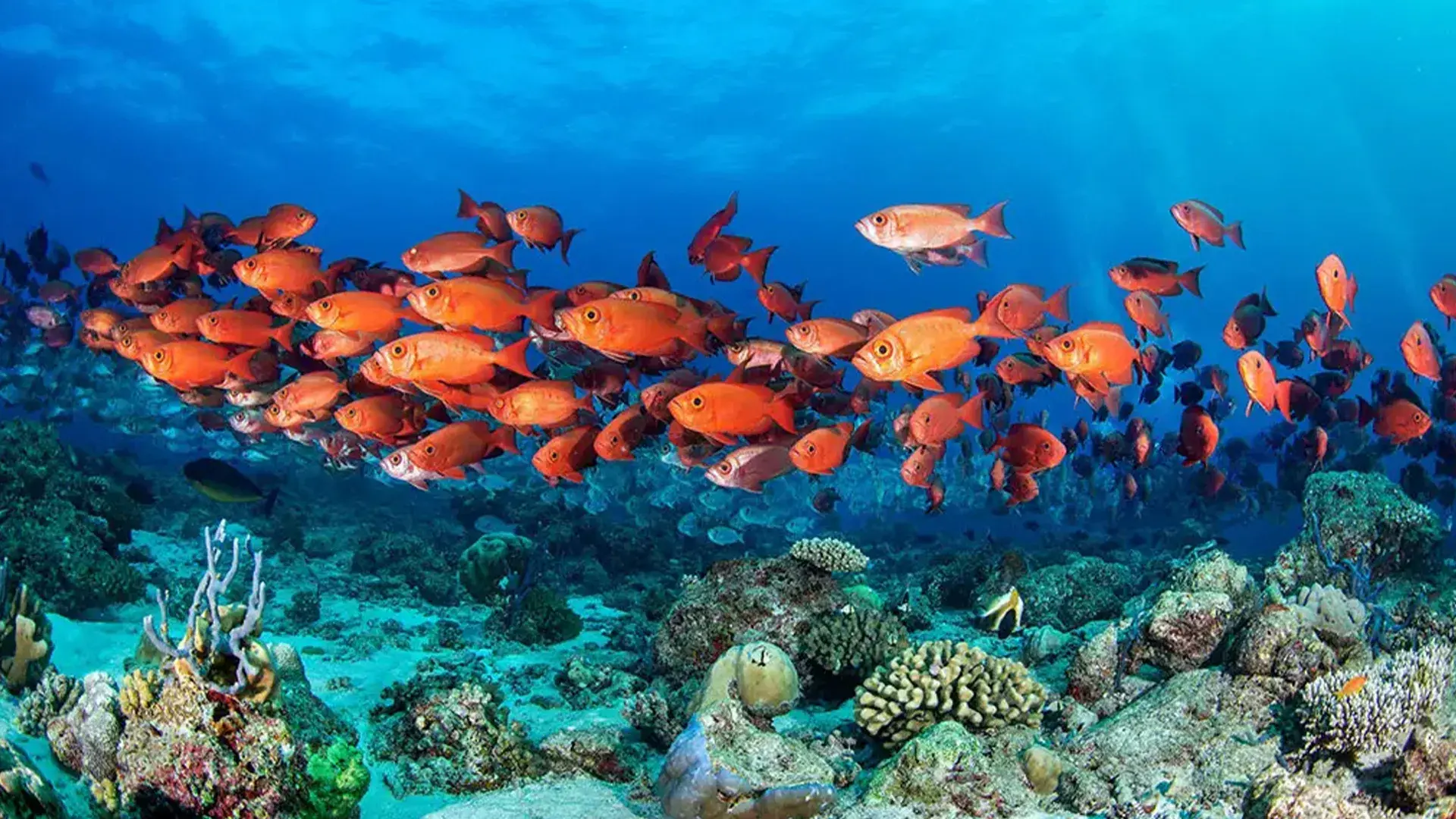 South Male Atoll