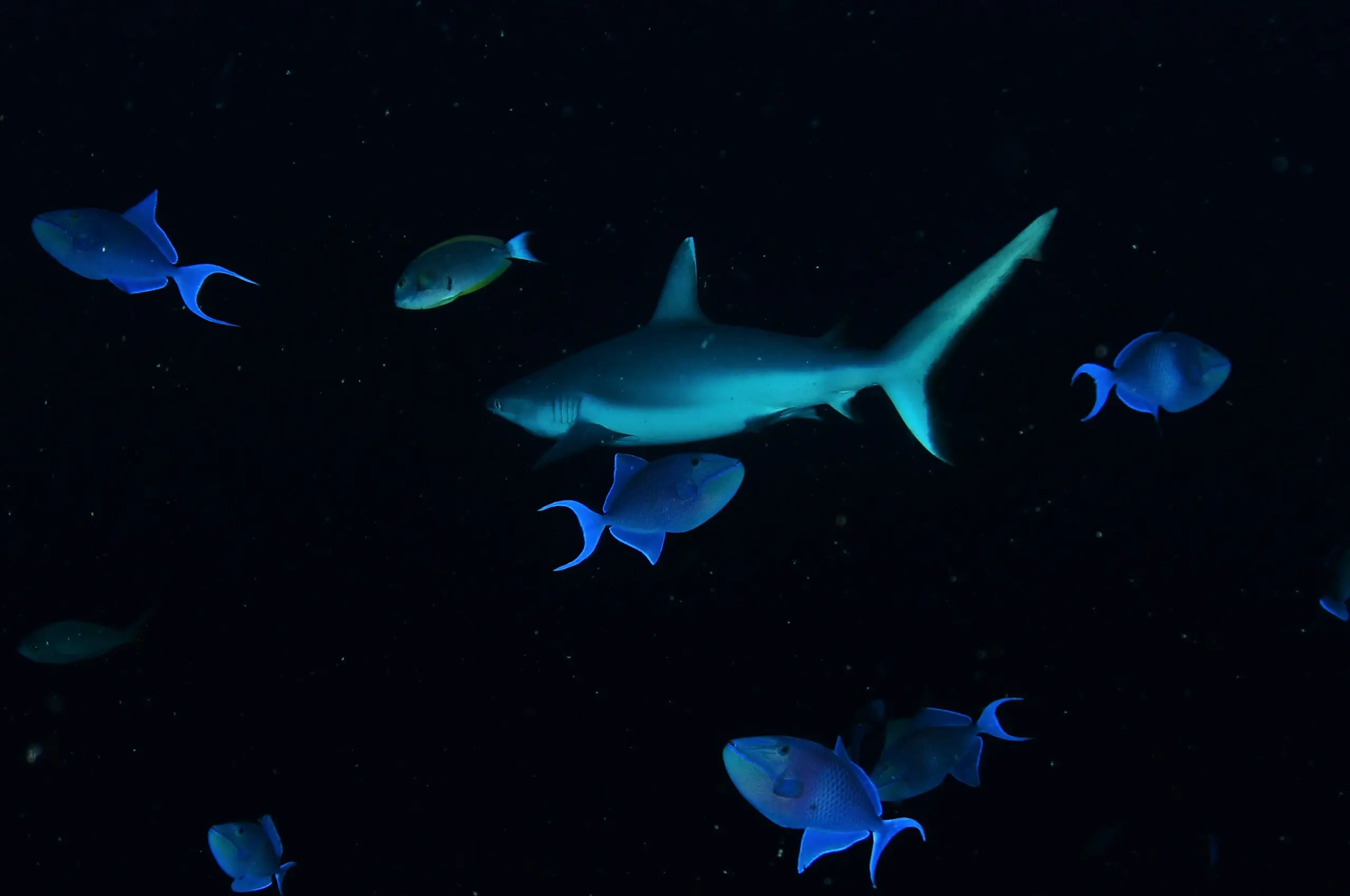 Noonu Atoll