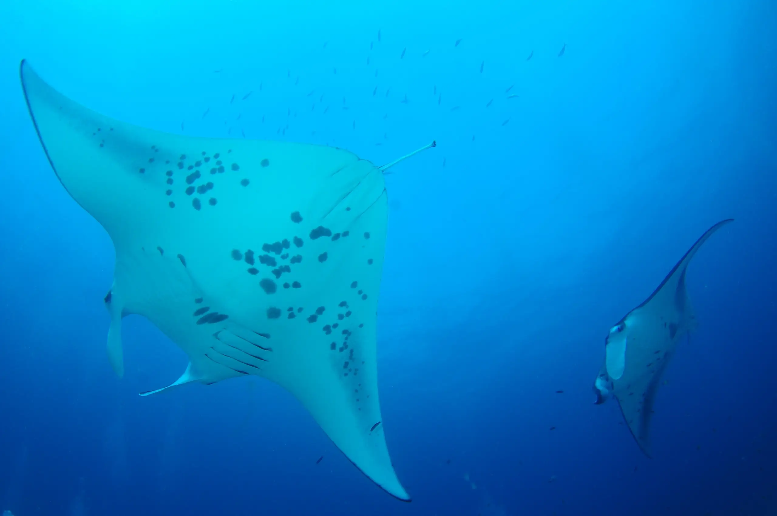 Laamu Atoll