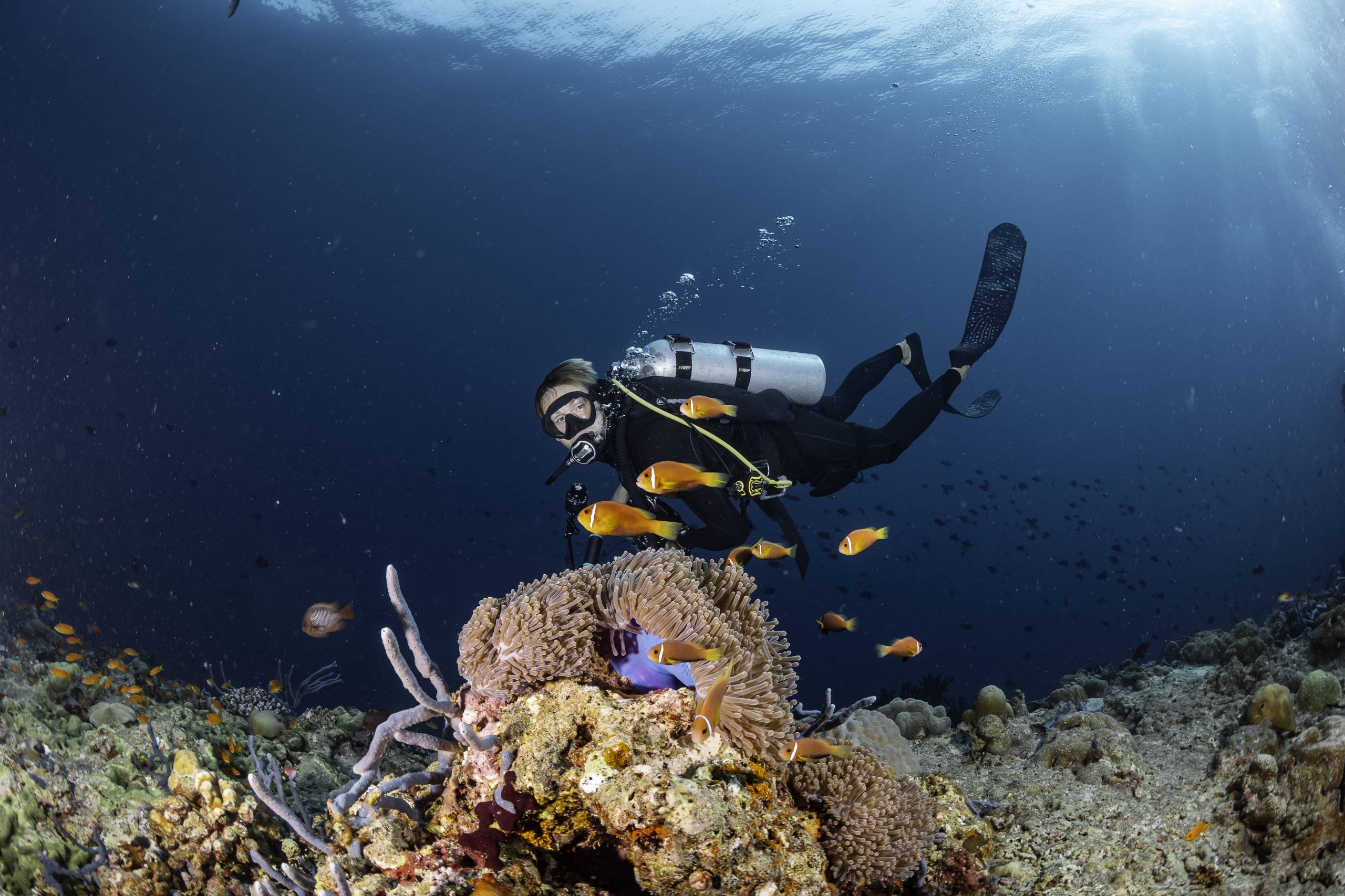 Meemu Atoll