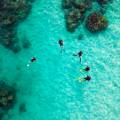 Why choose a diving liveaboard in the Maldives?